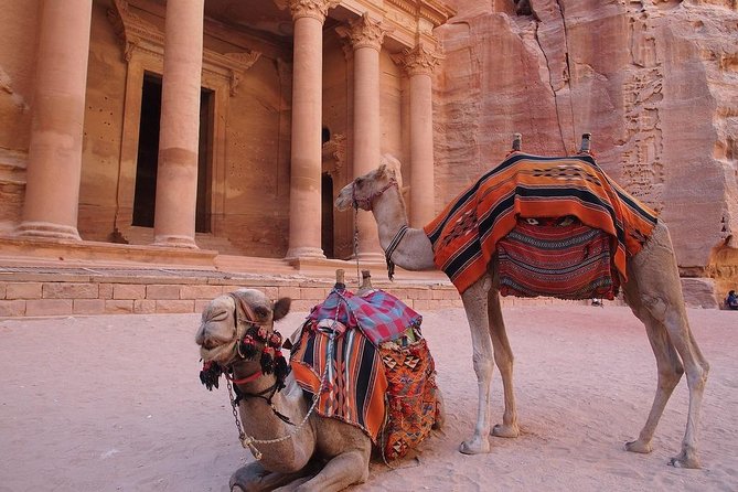Petra & Wadi Rum 3 Days 2 Tour Nights from Eilat border - Who should book this Jordan trip