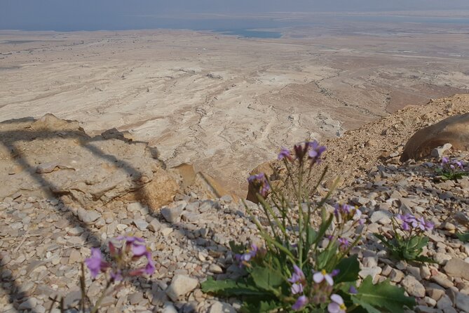 Private Day Tour in Masada and the Dead Sea - Ein Gedi: a real oasis after the desert road
