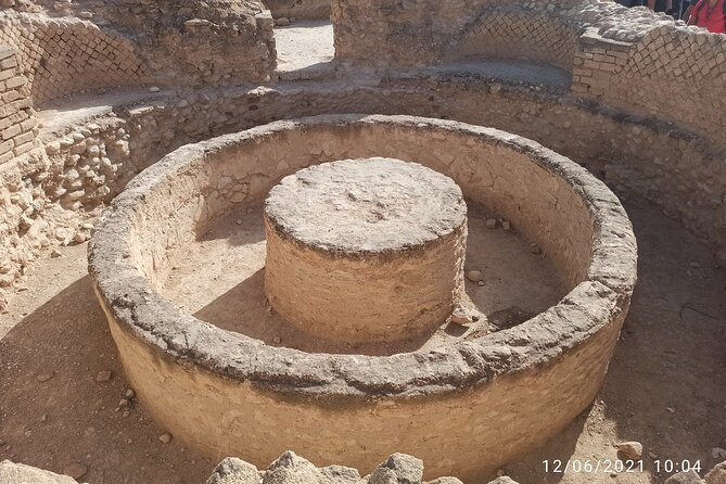 private Full-day Tour to Jericho + the Dead Sea - Zaccheus’ Tree and a quick biblical pause