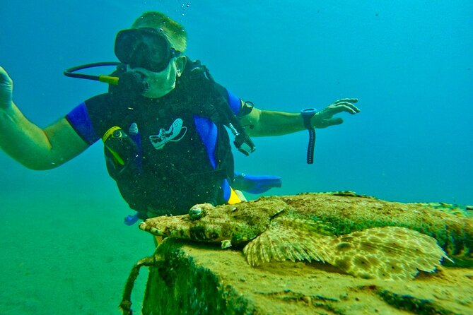 Private Scuba Diving Tour with Transportation and Guide - Stefan’s calm approach for newer and returning divers