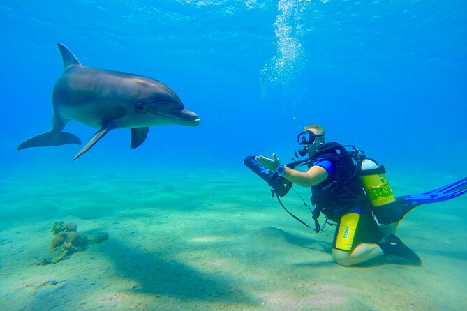 Private Scuba Diving Tour with Transportation and Guide - What is included, and what is not