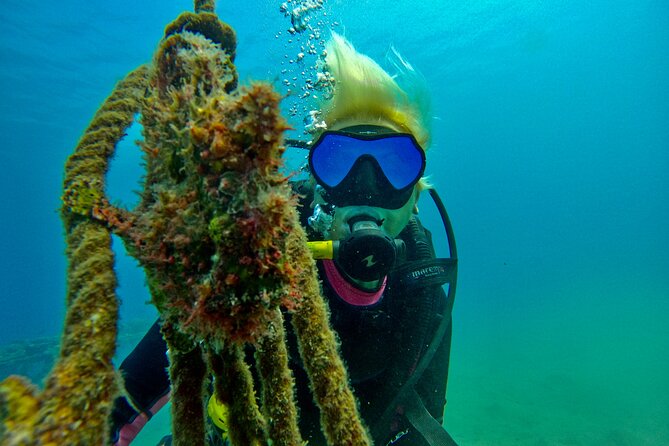 Private Scuba Diving Tour with Transportation and Guide - Timing, transport, and booking details