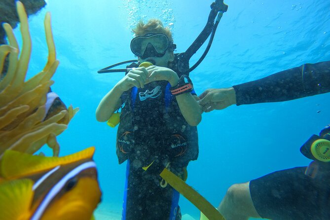 Private Scuba Diving Tour with Transportation and Guide - Who will get the most from this Eilat outing
