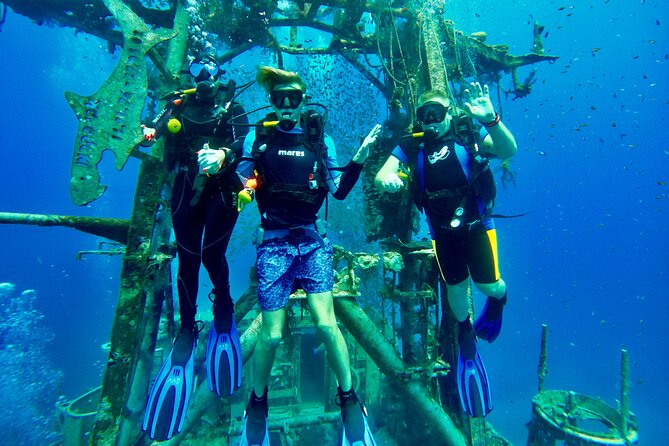 Private Scuba Diving Tour with Transportation and Guide - What the four-hour outing is likely to involve