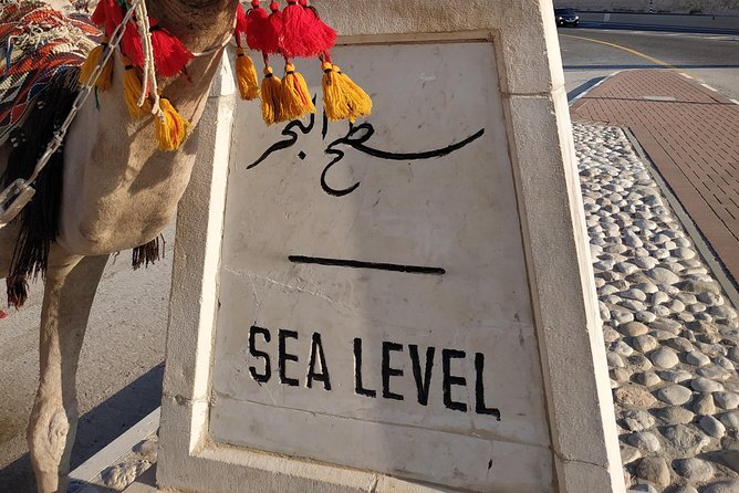 Private Tour: Dead Sea and Masada - Why this private day trip works