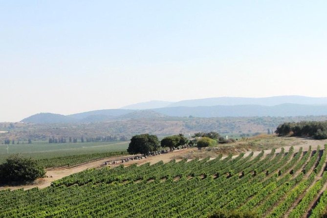 Private wine tour of Northern Israel - Key points to know before you book