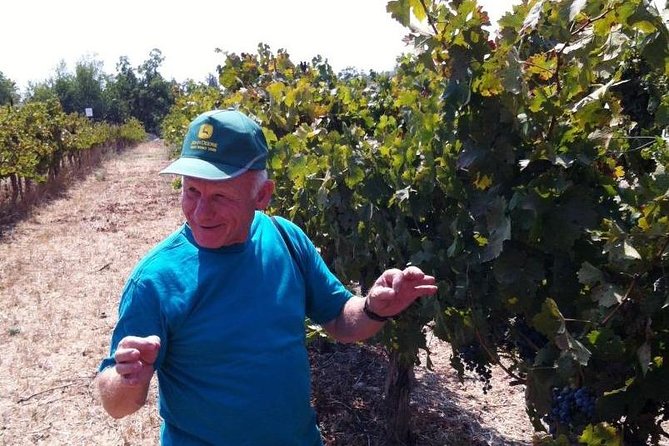 Private wine tour of Northern Israel - Three Galilee winery settings