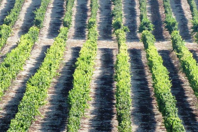 Private wine tour of Northern Israel - The Golan Heights and its volcanic ground