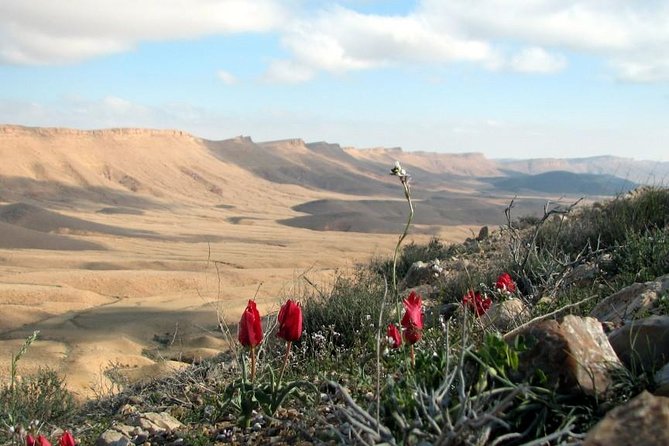 Ramon Crater Jeep Tour from Mitzpe Ramon - Who will enjoy this 4x4 outing most