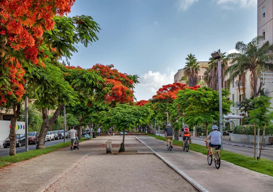 Tel Aviv: Carmel Market & Tel Aviv Tour with Tastings - Nahalat Binyamin puts art beside history