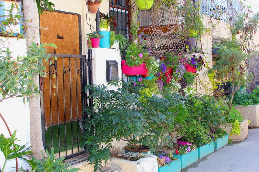 Tel Aviv: Florentin Saturday Walking Tour - The $69 price and what you receive