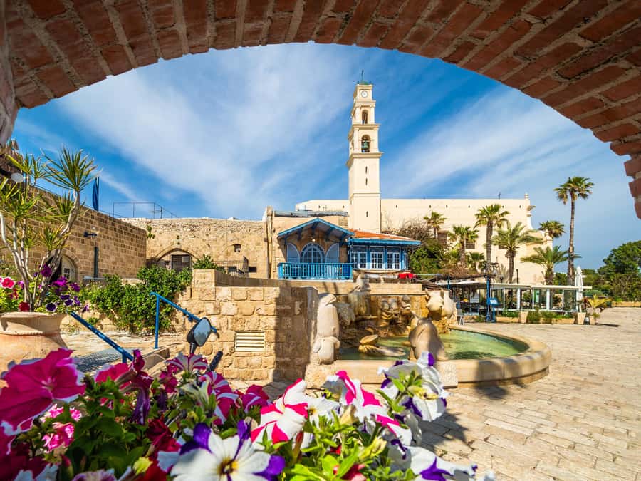 Tel Aviv: Jaffa Half-Day Walking Tour - The Ancient Port and the Jonah Connection