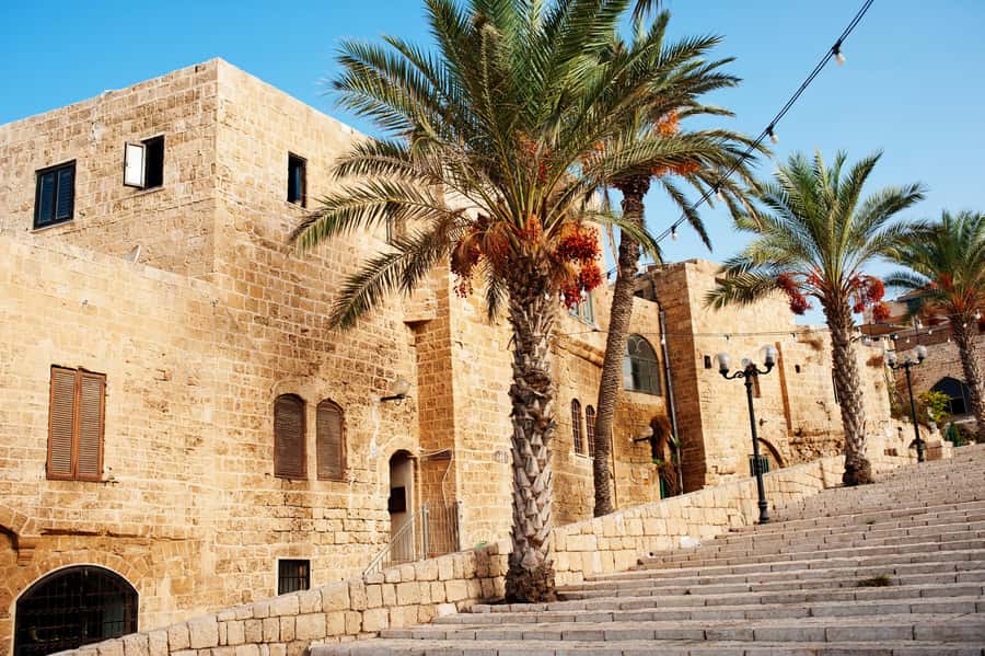 Tel Aviv: Jaffa Half-Day Walking Tour - The Flea Market, Galleries, and Artisan Shops