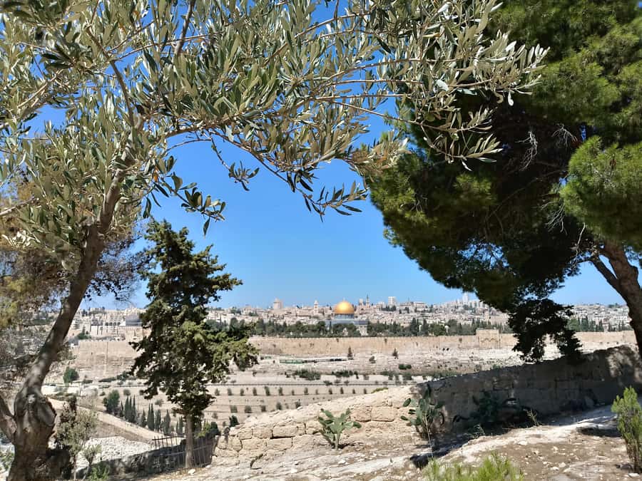 Tel Aviv: Jerusalem, Bethlehem & Dead Sea - Who should book this tour?