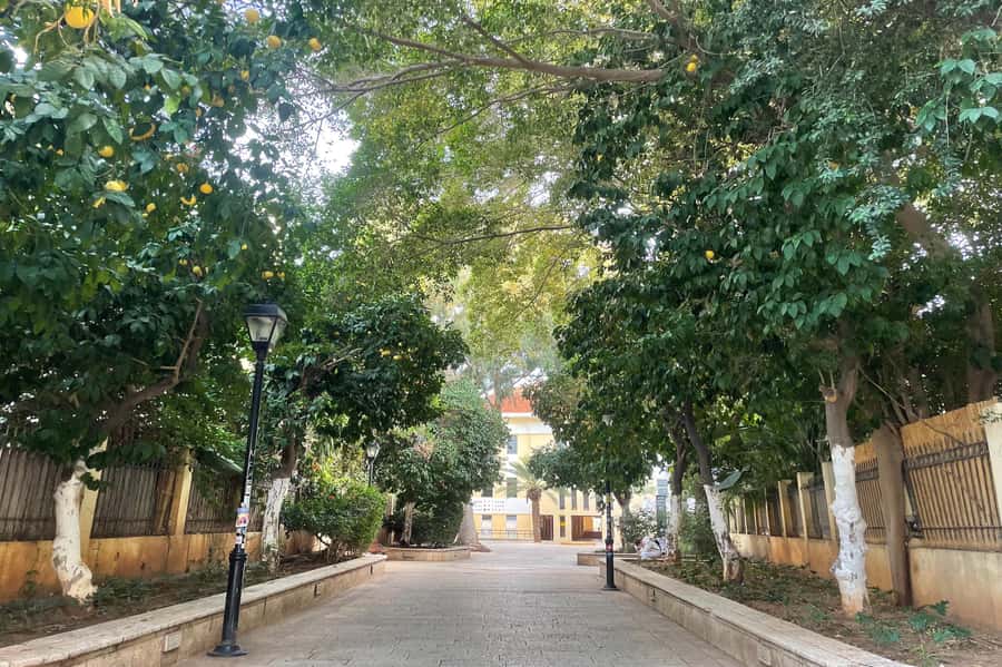Tel Aviv: Neve Tzedek Cultural Walking Tour - Key points at a glance