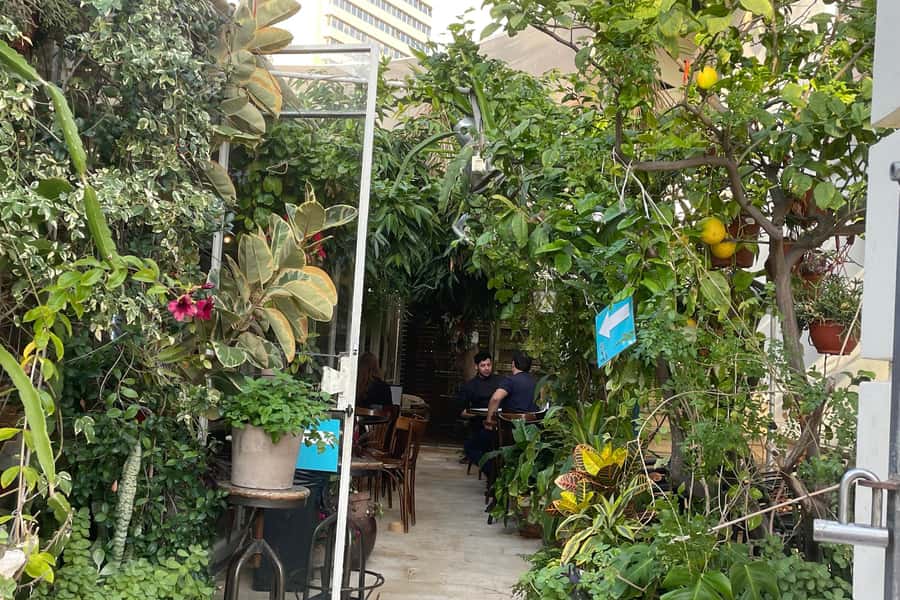 Tel Aviv: Neve Tzedek Cultural Walking Tour - Is $47 a fair price?