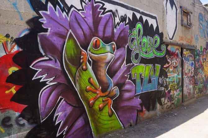 Tel Aviv Street Art & Graffiti Tour - What you will see in 90 minutes