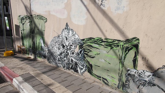 Tel Aviv Street Art Tour - Why Florentin makes a good street art classroom