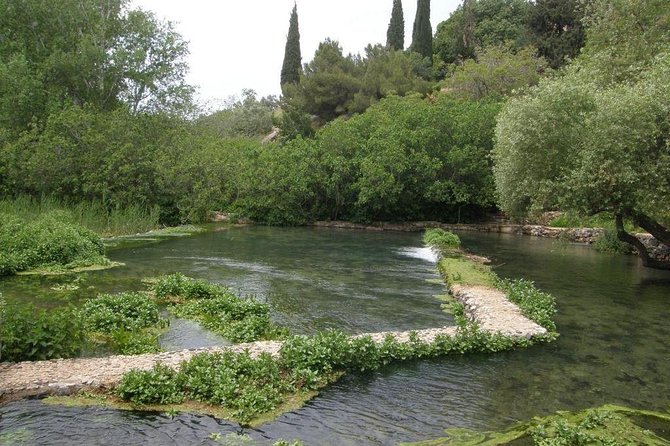Tel Dan and Baniyas National Parks Private Tour - Tel Dan: streams beside an ancient city