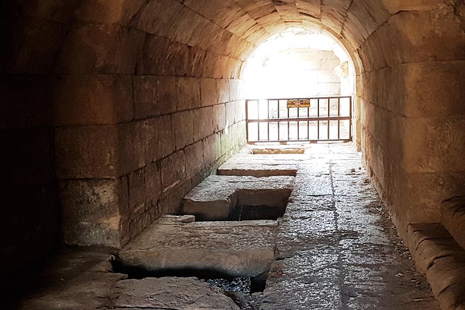 Tel Dan and Baniyas National Parks Private Tour - The pace, walking, and practical planning